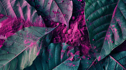 kratom leaf, kratom benefits, uses of kratom, natural focus stimulant